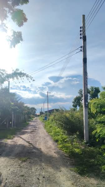 ที่ดินไทรน้อย นนทบุรี, Nonthaburi, Khun Sri, Sai Noi, Nonthaburi, , 400 sqm, Land For Sale, by The Best Property   สุจินตน์, 500389388 - DDproperty.com