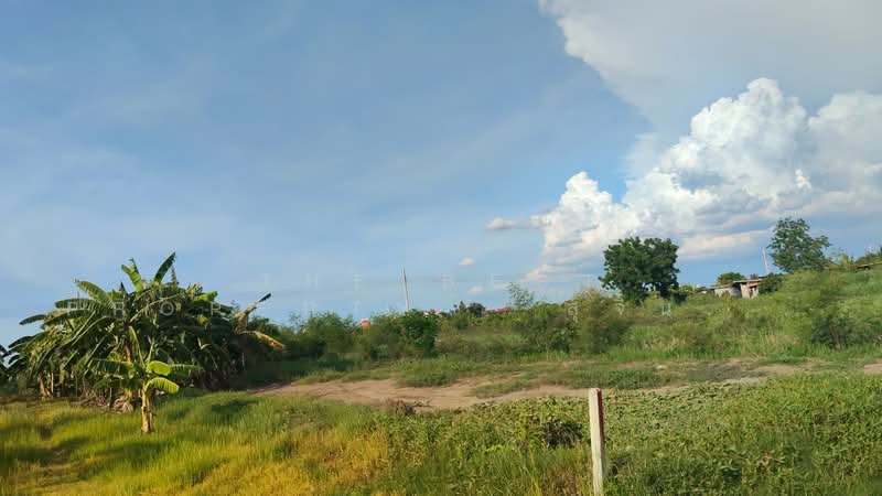 ที่ดินไทรน้อย นนทบุรี, Nonthaburi, Khun Sri, Sai Noi, Nonthaburi, , 400 sqm, Land For Sale, by The Best Property   สุจินตน์, 500389388 - DDproperty.com