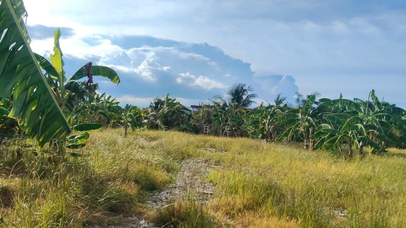 ที่ดินไทรน้อย นนทบุรี, Nonthaburi, Khun Sri, Sai Noi, Nonthaburi, , 400 sqm, Land For Sale, by The Best Property   สุจินตน์, 500389388 - DDproperty.com