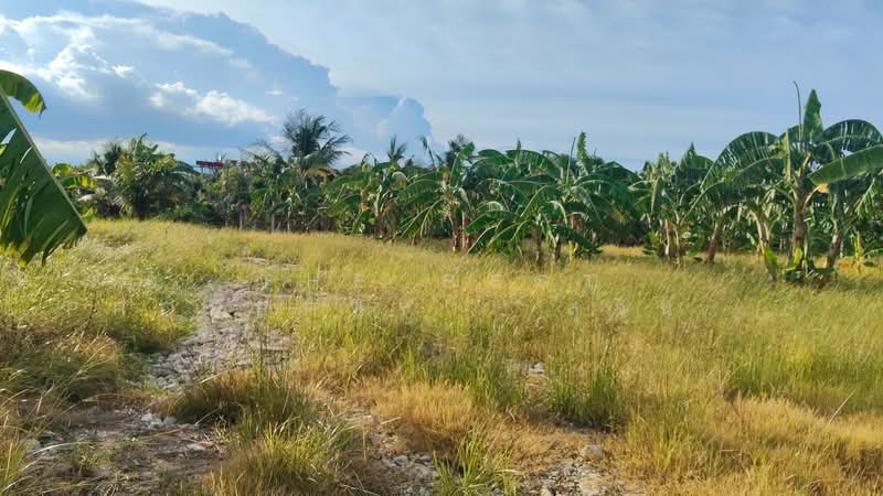 ที่ดินไทรน้อย นนทบุรี, Nonthaburi, Khun Sri, Sai Noi, Nonthaburi, , 400 sqm, Land For Sale, by The Best Property   สุจินตน์, 500389388 - DDproperty.com