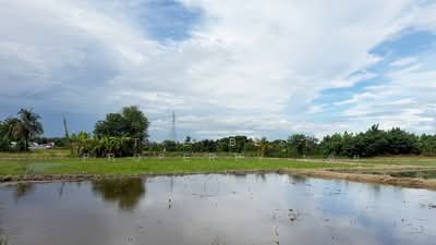 ขาย - ที่ดินบ้านแป้น ลำพูน, ลำพูน