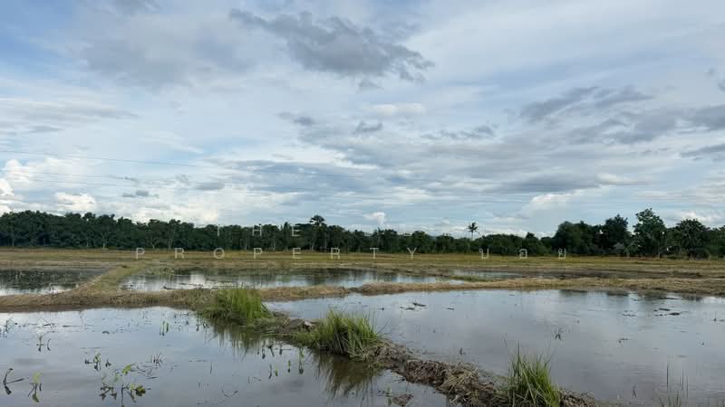 ที่ดินบ้านแป้น ลำพูน, ลำพูน, บ้านแป้น, เมืองลำพูน, ลำพูน, 9,880 ตร.ม., ที่ดิน ขาย, โดย The Best Property บอย, 500389448 - DDproperty.com