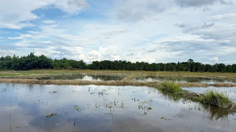 ที่ดินบ้านแป้น ลำพูน, ลำพูน, บ้านแป้น, เมืองลำพูน, ลำพูน, 9,880 ตร.ม., ที่ดิน ขาย, โดย The Best Property บอย, 500389448 - DDproperty.com