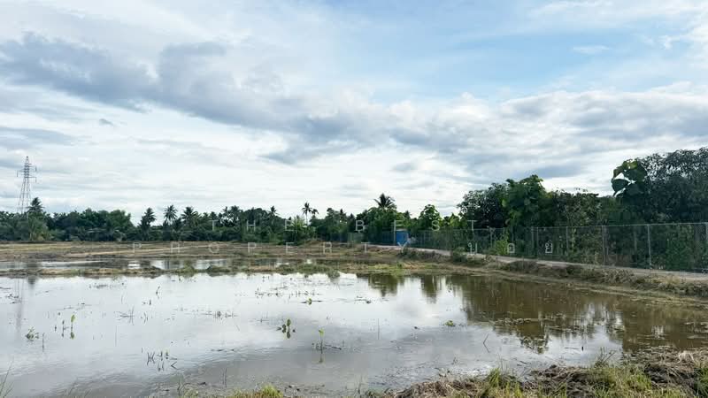 ที่ดินบ้านแป้น ลำพูน, ลำพูน, บ้านแป้น, เมืองลำพูน, ลำพูน, 9,880 ตร.ม., ที่ดิน ขาย, โดย The Best Property บอย, 500389448 - DDproperty.com