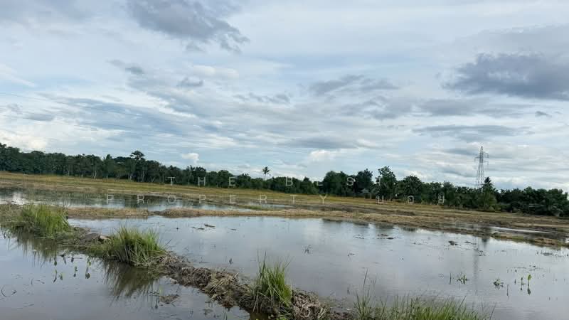 ที่ดินบ้านแป้น ลำพูน, ลำพูน, บ้านแป้น, เมืองลำพูน, ลำพูน, 9,880 ตร.ม., ที่ดิน ขาย, โดย The Best Property บอย, 500389448 - DDproperty.com