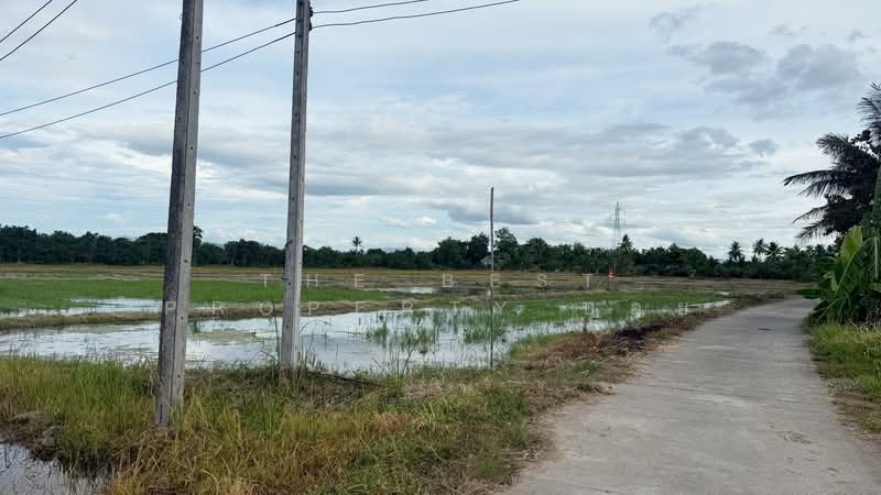 ที่ดินบ้านแป้น ลำพูน, Lamphun, Ban Paen, Muang Lamphun, Lamphun, , 9,880 sqm, Land For Sale, by The Best Property บอย, 500389448 - DDproperty.com