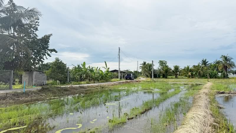 ที่ดินบ้านแป้น ลำพูน, Lamphun, Ban Paen, Muang Lamphun, Lamphun, , 9,880 sqm, Land For Sale, by The Best Property บอย, 500389448 - DDproperty.com