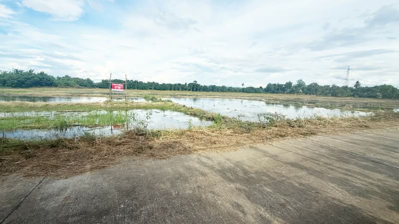 ที่ดินบ้านแป้น ลำพูน, ลำพูน, บ้านแป้น, เมืองลำพูน, ลำพูน, 9,880 ตร.ม., ที่ดิน ขาย, โดย The Best Property บอย, 500389448 - DDproperty.com