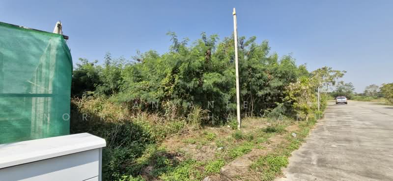 ็Hang Dong 1 Rai Land for Sale, Chiang Mai, Ban Waen, Hang Dong, Chiang Mai, , 1,600 sqm, Land For Sale, by Anyanee Norranitchaiyakul, 500389473 - DDproperty.com