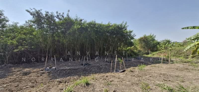 ็Hang Dong 1 Rai Land for Sale, Chiang Mai, Ban Waen, Hang Dong, Chiang Mai, , 1,600 sqm, Land For Sale, by Anyanee Norranitchaiyakul, 500389473 - DDproperty.com