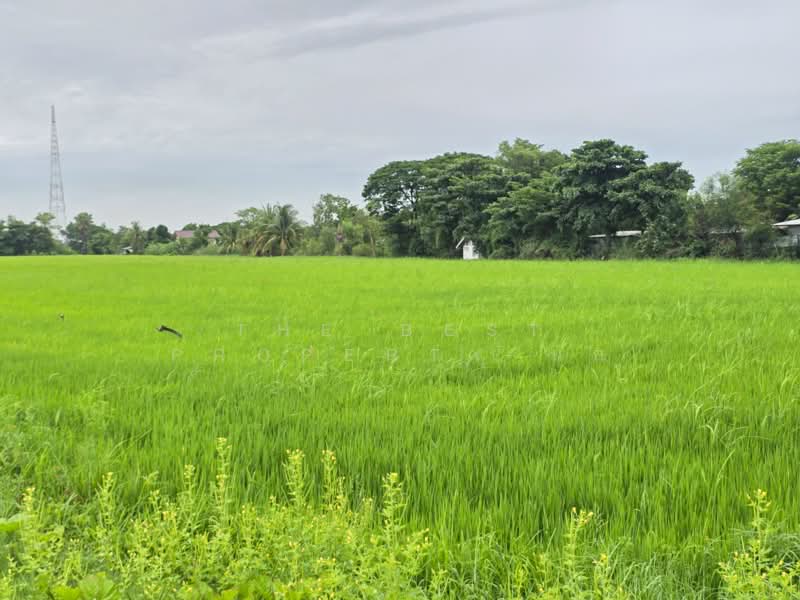ที่ดินหนองจอก กรุงเทพมหานคร, กรุงเทพ, หนองจอก, หนองจอก, กรุงเทพ, 37,292 ตร.ม., ที่ดิน ขาย, โดย The Best Property นก, 500389484 - DDproperty.com