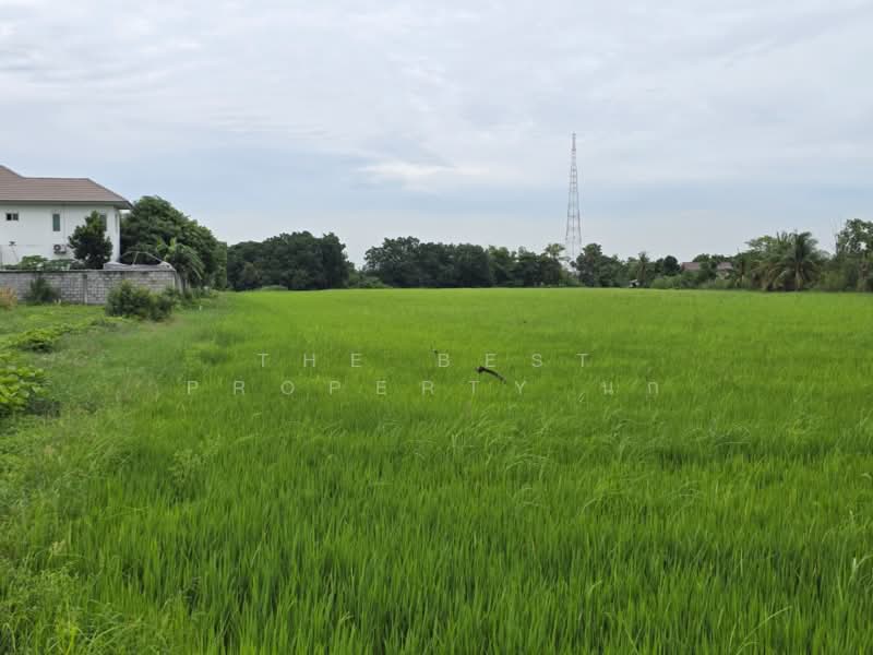 ที่ดินหนองจอก กรุงเทพมหานคร, กรุงเทพ, หนองจอก, หนองจอก, กรุงเทพ, 37,292 ตร.ม., ที่ดิน ขาย, โดย The Best Property นก, 500389484 - DDproperty.com