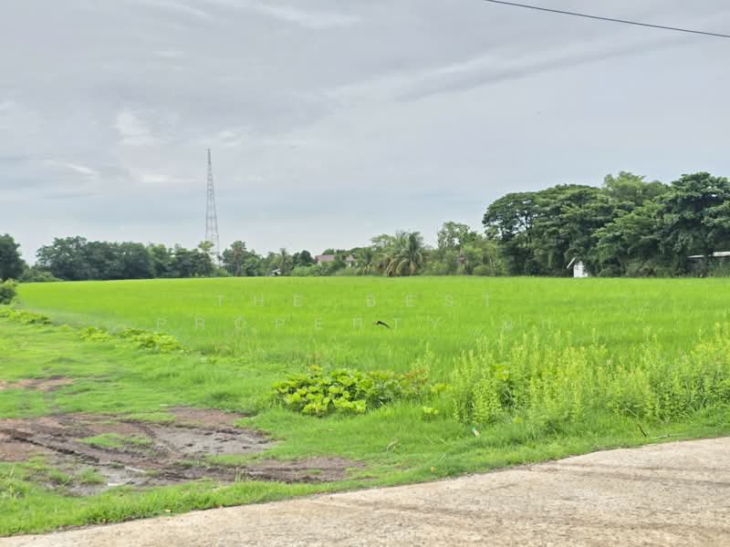 ที่ดินหนองจอก กรุงเทพมหานคร, Bangkok, Nong Chok, Bangkok, , 37,292 sqm, Land For Sale, by The Best Property นก, 500389484 - DDproperty.com