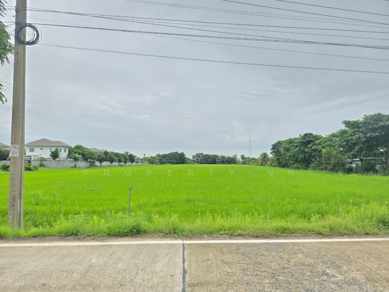 ที่ดินหนองจอก กรุงเทพมหานคร, กรุงเทพ, หนองจอก, หนองจอก, กรุงเทพ, 37,292 ตร.ม., ที่ดิน ขาย, โดย The Best Property นก, 500389484 - DDproperty.com