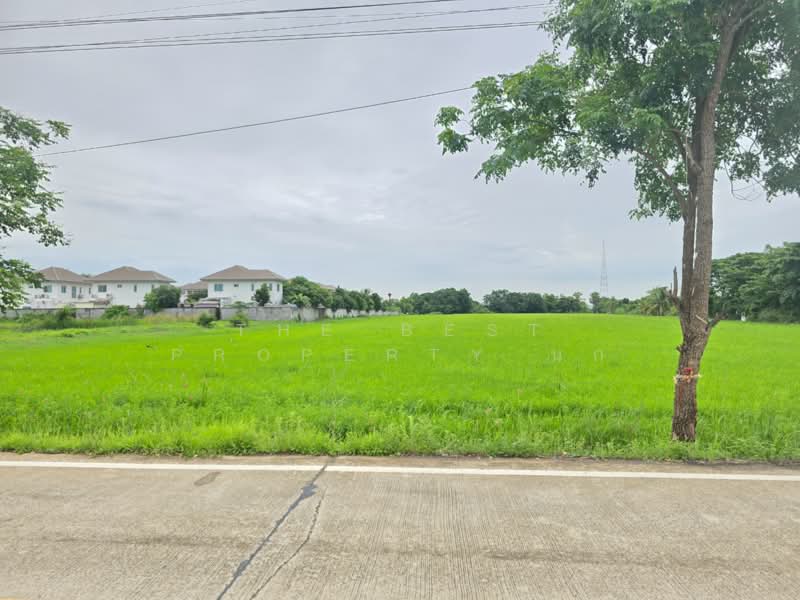 ที่ดินหนองจอก กรุงเทพมหานคร, Bangkok, Nong Chok, Bangkok, , 37,292 sqm, Land For Sale, by The Best Property นก, 500389484 - DDproperty.com