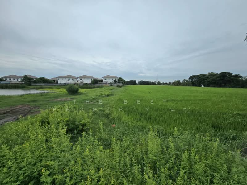 ที่ดินหนองจอก กรุงเทพมหานคร, Bangkok, Nong Chok, Bangkok, , 37,292 sqm, Land For Sale, by The Best Property นก, 500389484 - DDproperty.com