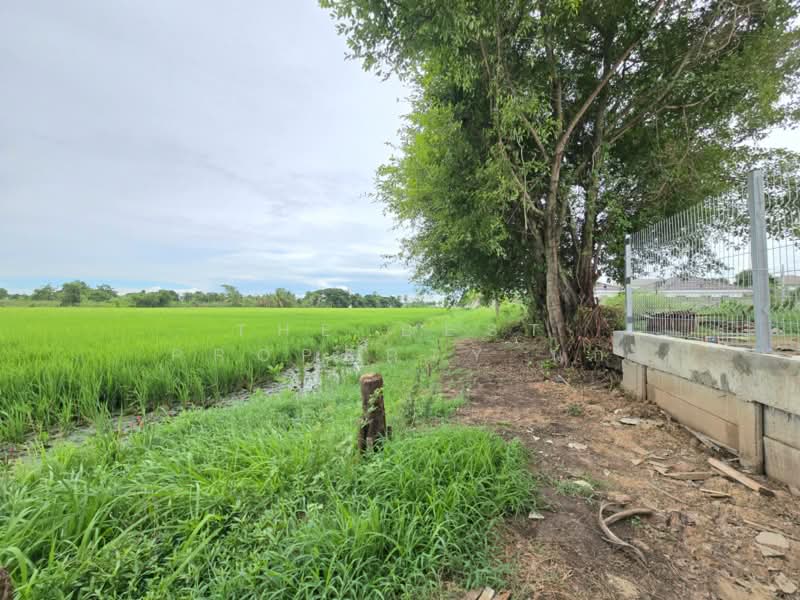 ที่ดินหนองจอก กรุงเทพมหานคร, กรุงเทพ, หนองจอก, หนองจอก, กรุงเทพ, 37,292 ตร.ม., ที่ดิน ขาย, โดย The Best Property นก, 500389484 - DDproperty.com