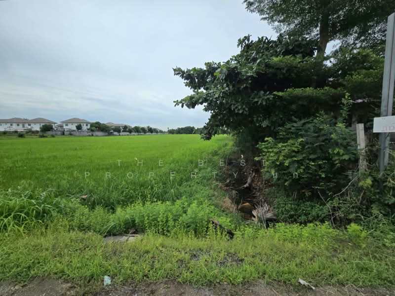 ที่ดินหนองจอก กรุงเทพมหานคร, Bangkok, Nong Chok, Bangkok, , 37,292 sqm, Land For Sale, by The Best Property นก, 500389484 - DDproperty.com