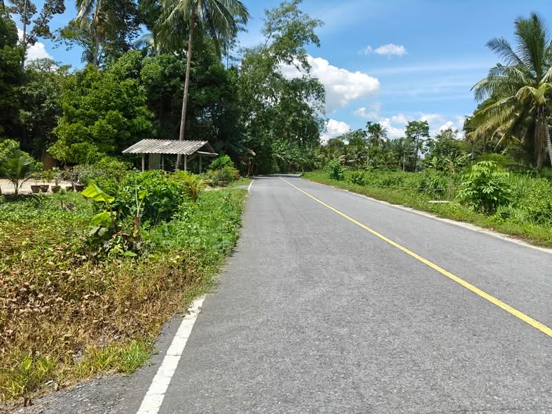 บ้านเดี่ยวพร้อมที่ดินพระพรหม นครศรีธรรมราช, Nakhon Si Thammarat, Inkhiri, Phrommakhiri, Nakhon Si Thammarat, 2 Bedrooms, 100 sqm, Single Detached House For Sale, by The Best Property พริก, 500389538 - DDproperty.com