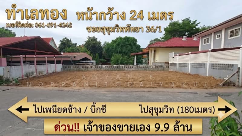 ที่ดินพัทยากลาง 107 ตรว, ชลบุรี, 36/1 สุขุมวิท, หนองปรือ, บางละมุง, ชลบุรี, 428 ตร.ม., ที่ดิน ขาย, โดย Anyanee Norranitchaiyakul, 500389560 - DDproperty.com