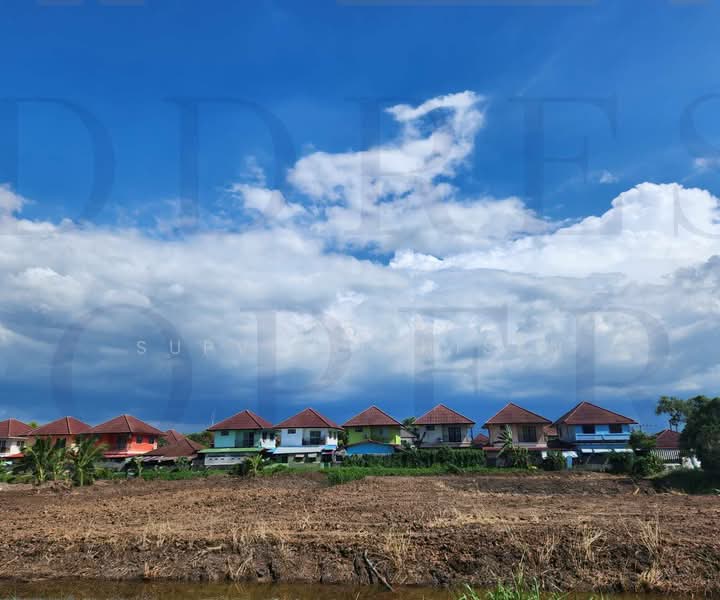 ที่ดินขายถูก ซอยบึงบอน1 คลอง7, ปทุมธานี, 3007, บึงบอน, หนองเสือ, ปทุมธานี, 7,376 ตร.ม., ที่ดิน ขาย, โดย Shaporn Supvilaiphisan, 500389657 - DDproperty.com
