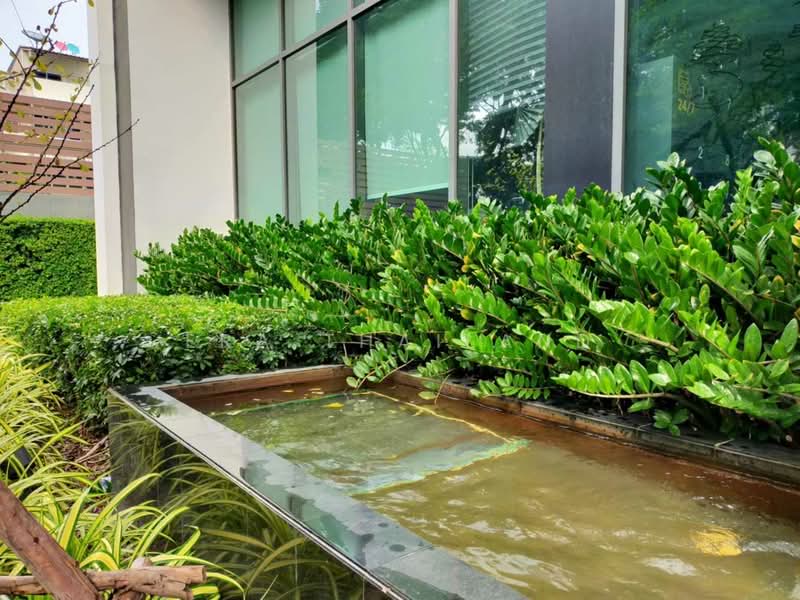 Life Sukhumvit 48 : ไลฟ์ สุขุมวิท 48, กรุงเทพ, ซอยสุขุมวิท 48, พระโขนง, คลองเตย, กรุงเทพ, 39 ตร.ม., คอนโด ขาย, โดย ERA Thailand, 500389771 - DDproperty.com