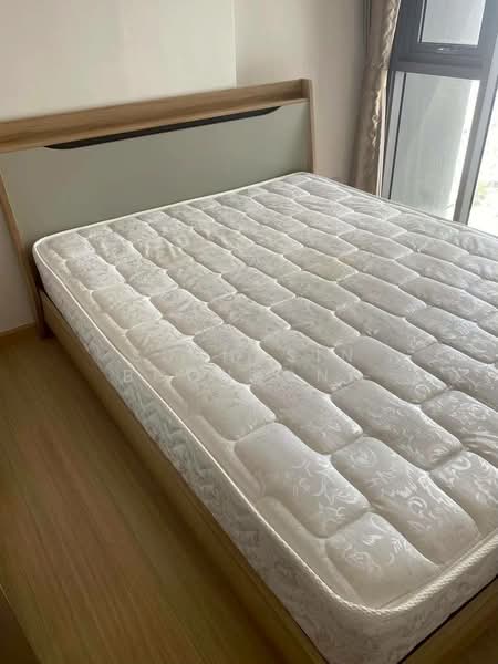 Whizdom Connect Sukhumvit, Bangkok, 1 Soi Piyibut 1, Sukhumvit Road, Bang Na, Bangkok, 2 Bedrooms, 40 sqm, Condo For Rent, by Suthasin Boonkong, 500389773 - DDproperty.com