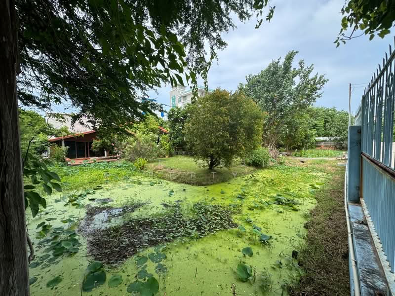 ที่ดินปากน้ำ สมุทรปราการ, Samut Prakan, Pak Nam, Muang Samut Prakarn, Samut Prakan, , 1,548 sqm, Land For Sale, by The Best Property นพ, 500389790 - DDproperty.com