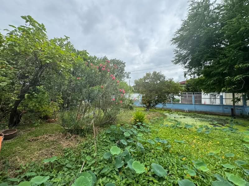 ที่ดินปากน้ำ สมุทรปราการ, Samut Prakan, Pak Nam, Muang Samut Prakarn, Samut Prakan, , 1,548 sqm, Land For Sale, by The Best Property นพ, 500389790 - DDproperty.com