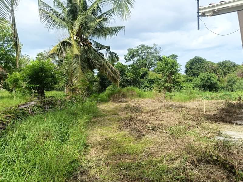 ที่ดินพร้อมสิ่งปลูกสร้างปราณบุรี ประจวบคีรีขันธ์, Prachuap Khiri Khan, Wang-Pong, Pran Buri, Prachuap Khiri Khan, , 6,832 sqm, Land For Sale, by The Best Property เพน, 500389822 - DDproperty.com