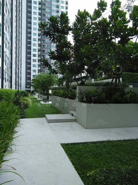Aspire Sukhumvit-Rama 4, Bangkok, 4404 Rama 4 Road, Phra Kanong, Khlong Toei, Bangkok, 1 Bedroom, 28 sqm, Condo For Rent, by Tanapat Sakonsontised, 500389952 - DDproperty.com