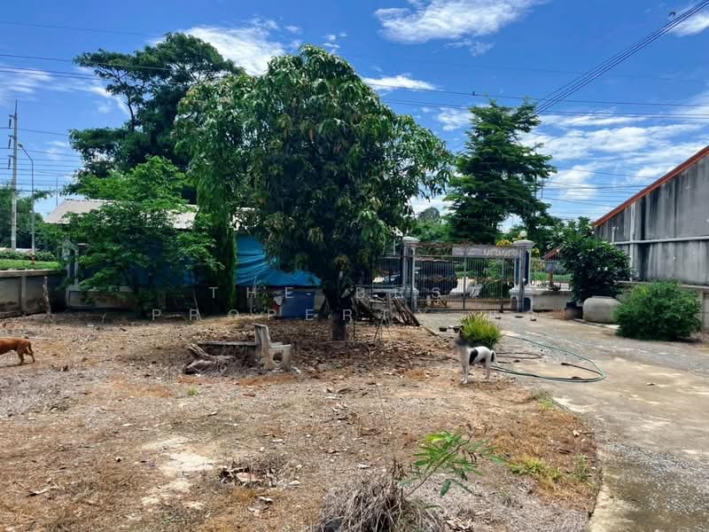 บ้านเดี่ยวเดิมบางนางบวช สุพรรณบุรี, สุพรรณบุรี, ปากน้ำ, เดิมบางนางบวช, สุพรรณบุรี, 150 ตร.ม., บ้านเดี่ยว ขาย, โดย The Best Property แอ้, 500389955 - DDproperty.com
