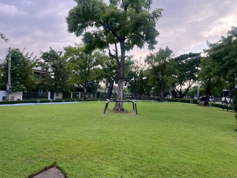 Burasiri Rangsit : บุราสิริ รังสิต, ปทุมธานี, ถนน รังสิต-ปทุมธานี, สวนพริกไทย, เมืองปทุมธานี, ปทุมธานี, 222 ตร.ม., บ้านเดี่ยว ให้เช่า, โดย สลิลา อภิญญาณกุล, 500390001 - DDproperty.com