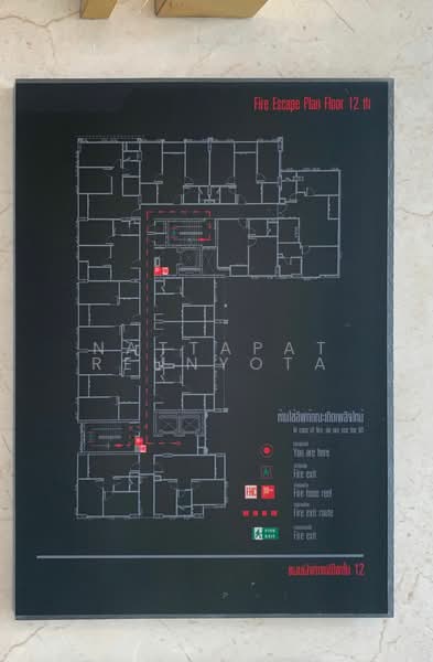 Mayfair Place Sukhumvit 50 : เมย์แฟร์ เพลส สุขุมวิท 50, กรุงเทพ, ซอยสุขุมวิท 50, พระโขนง, คลองเตย, กรุงเทพ, 38 ตร.ม., คอนโด ขาย, โดย Nattapat Reunyota, 500390050 - DDproperty.com