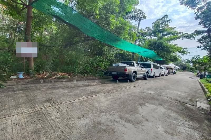 หมู่บ้านสีวลี (รังสิต-นครนายก 50), Pathum Thani, Prachathipat, Thanyaburi, Pathum Thani, , 380 sqm, Land For Sale, by ชนะชาติ นนท์ตา, 500390129 - DDproperty.com