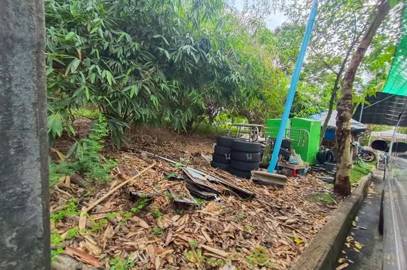 หมู่บ้านสีวลี (รังสิต-นครนายก 50), Pathum Thani, Prachathipat, Thanyaburi, Pathum Thani, , 380 sqm, Land For Sale, by ชนะชาติ นนท์ตา, 500390129 - DDproperty.com