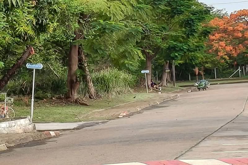 หมู่บ้านสีวลี (รังสิต-นครนายก 50), Pathum Thani, Prachathipat, Thanyaburi, Pathum Thani, , 380 sqm, Land For Sale, by ชนะชาติ นนท์ตา, 500390129 - DDproperty.com