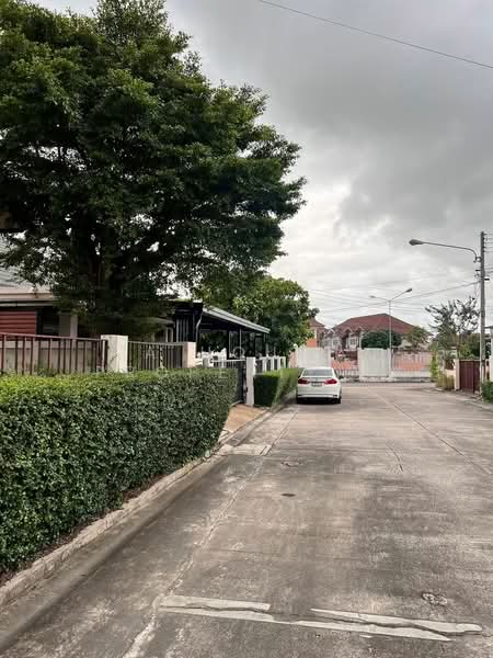 ให้เช่าบ้านเดี่ยว หมู่บ้านเซนสิริโฮม หลังม.เกษตรศรีราชา, Chon Buri (Pattaya), Thung Suk La, Si Racha, Chon Buri (Pattaya), 3 Bedrooms, 256 sqm, Single Detached House For Rent, by A House Property Co.,Ltd., 500390171 - DDproperty.com