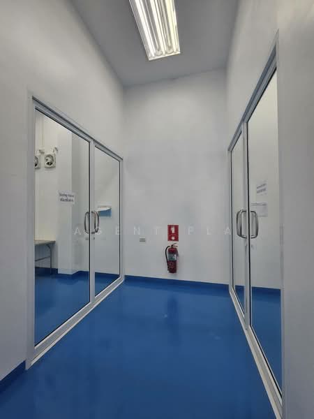 FOR RENT: GMP-Ready Cosmetics & Food Manufacturing Factory, Lat Krabang (SPSAD4060), Bangkok, Lam Pla Tiew, Lat Krabang, Bangkok, , 500 sqm, Warehouse/Factory For Rent, by Agent Pla, 500390180 - DDproperty.com