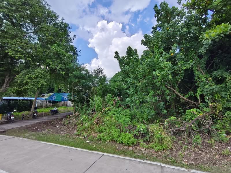 Beachfront Land Plot for Sale on Coconut Island, Phuket, Phuket, Ko Kaeo, Muang Phuket, Phuket, , 1,968 sqm, Land For Sale, by Parinda Sane, 500390371 - DDproperty.com
