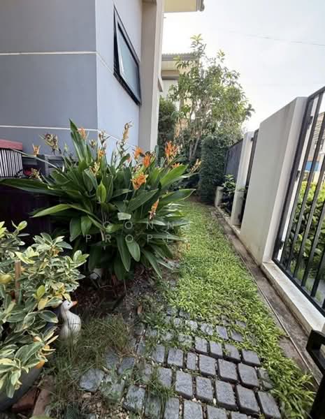 Zerene Petchkasem-Phutthamonthon Sai 3, Bangkok, 101 Phutthamonthon Sai 3 Road, Nong Kang Plu, Nong Khaem, Bangkok, 4 Bedrooms, 196 sqm, Single Detached House For Rent, by Connex Property, 500390861 - DDproperty.com