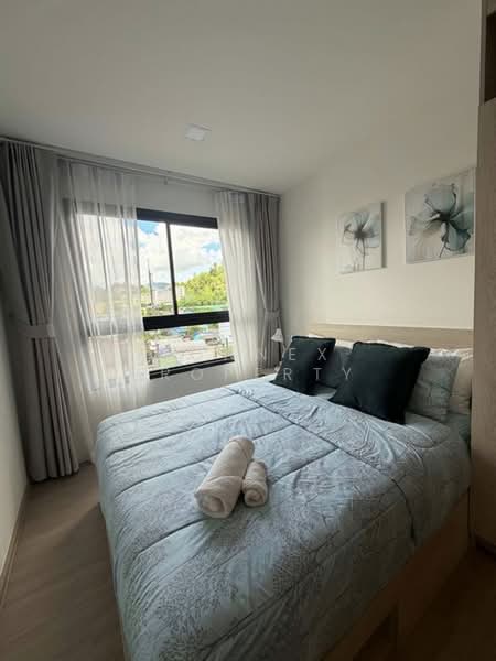 The Base Bukit Phuket, Phuket, 12 Vichitsongkram Rd, Wichit, Muang Phuket, Phuket, 1 Bedroom, 31 sqm, Condo For Rent, by Connex Property, 500391046 - DDproperty.com