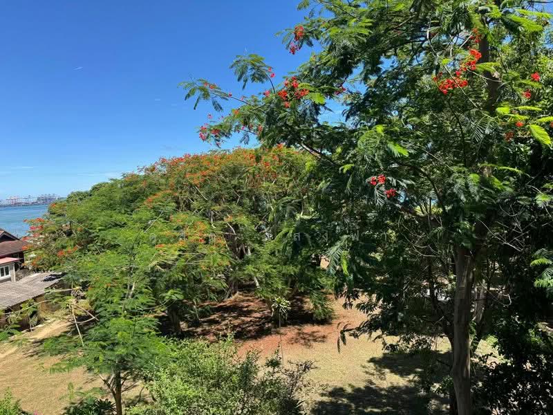 Sonrisa Sriracha, Chon Buri (Pattaya), 55 Laem Thao Thewa-Kailo Soi 6, Si Racha, Si Racha, Chon Buri (Pattaya), 1 Bedroom, 34 sqm, Condo For Rent, by Dusit Saengfa, 500391087 - DDproperty.com