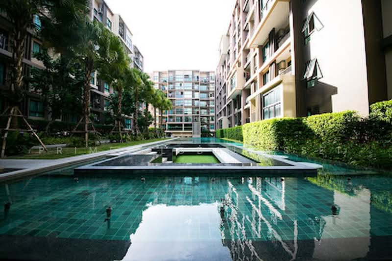 Zcape 3, Phuket, Thep Krasattri Road, Wichit, Muang Phuket, Phuket, 1 Bedroom, 30 sqm, Condo For Rent, by Prime Global Asset, 500391208 - DDproperty.com