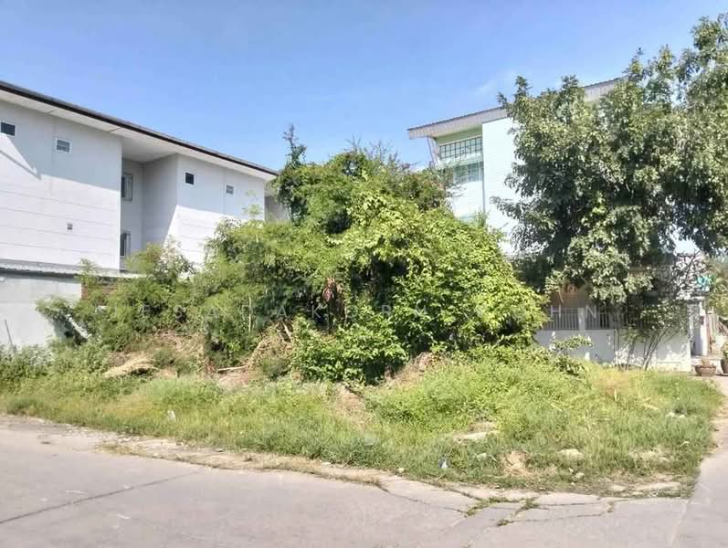 1-BR House, Bangkok, Prawet, Bangkok, 1 Bedroom, 47 sqm, Single Detached House For Sale, by Jesadakorn Cohn, 500391339 - DDproperty.com