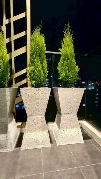 Mayfair Place Sukhumvit 50, Bangkok, Soi Sukhumvit 50, Phra Kanong, Khlong Toei, Bangkok, 1 Bedroom, 35 sqm, Condo For Sale, by HOME Real Estate Service, 500391457 - DDproperty.com