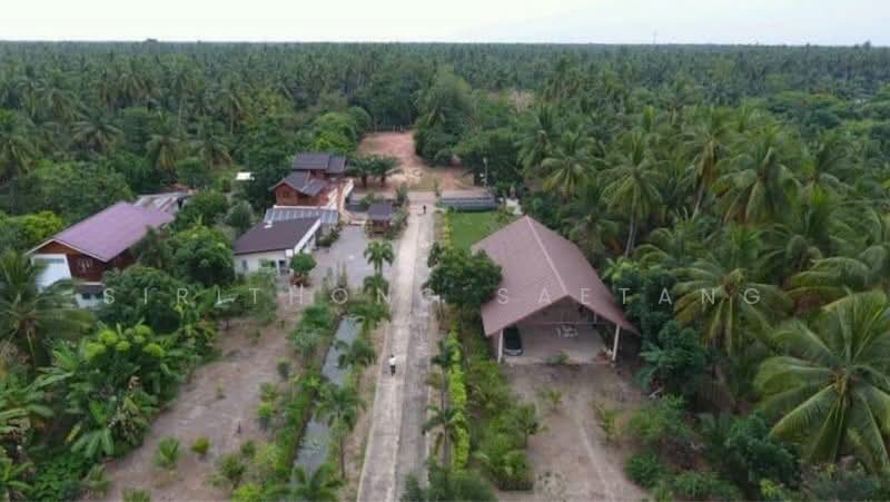ที่ดิน 6 ไร่ พร้อมบ้านทรงไทยและสวนมะพร้าว - บางคนที สมุทรสงคราม, สมุทรสงคราม, 6002, บางคนที, บางคนที, สมุทรสงคราม, 9,600 ตร.ม., ที่ดิน ขาย, โดย Sirithong Saetang, 500391572 - DDproperty.com