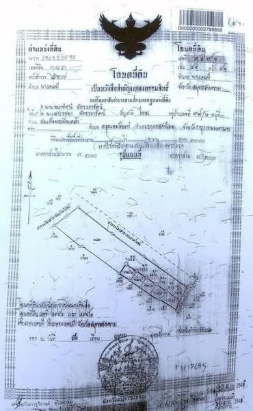 ที่ดิน 6 ไร่ พร้อมบ้านทรงไทยและสวนมะพร้าว - บางคนที สมุทรสงคราม, สมุทรสงคราม, 6002, บางคนที, บางคนที, สมุทรสงคราม, 9,600 ตร.ม., ที่ดิน ขาย, โดย Sirithong Saetang, 500391572 - DDproperty.com