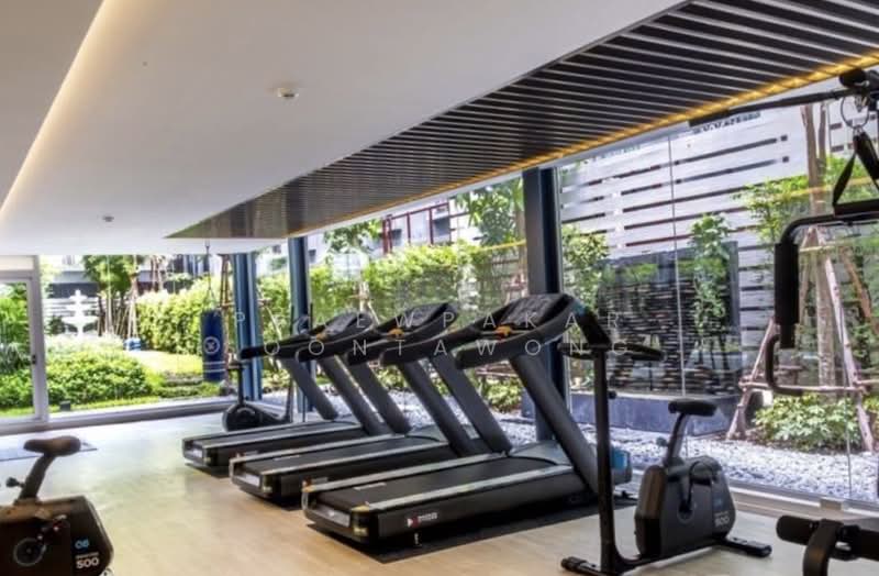 The Elegant Ladprao 1, Bangkok, Soi  Ladprao 1,  Ladprao Road, Jom Phon, Chatuchak, Bangkok, 1 Bedroom, 30 sqm, Condo For Rent, by Praewpakar Soontawong, 500391593 - DDproperty.com