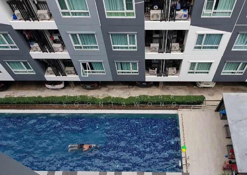 Regent Home Sukhumvit 81, Bangkok, Soi Sukhumvit 81, Suan Luang, Bangkok, 1 Bedroom, 28 sqm, Condo For Rent, by Praewpakar Soontawong, 500391614 - DDproperty.com